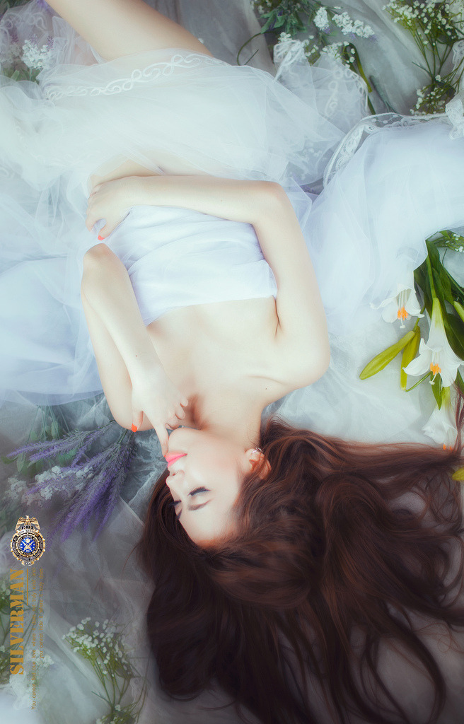 哲仁王后高清在线观看韩剧全集